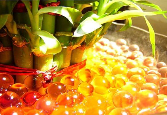 Правильное применение шариков гидрогеля для выращивания декоративных и комнатных растений