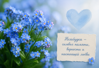 Значение цветов: что значит незабудка? Значение цветов: что значит незабудка?