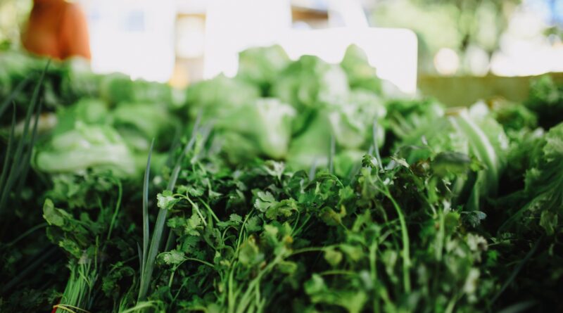 Vibrant display of fresh green vegetables, perfect for a healthy lifestyle