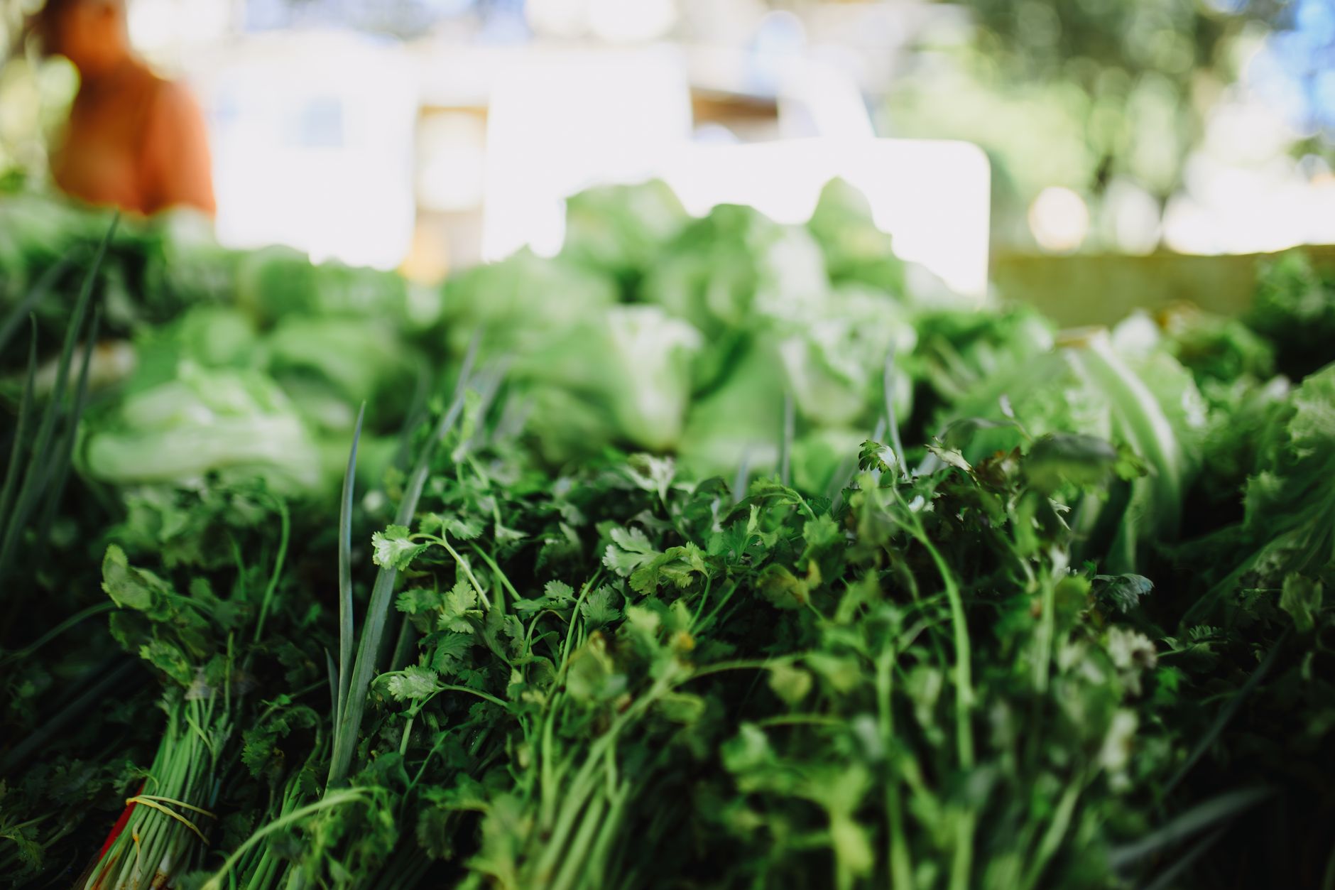 Vibrant display of fresh green vegetables, perfect for a healthy lifestyle