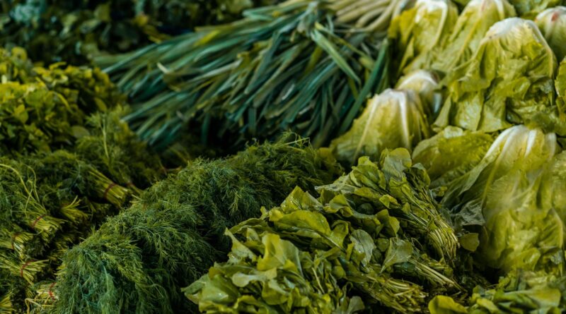 Bunches of healthy dill and fresh lettuce placed near heap of green onions on stall in grocery market during harvest season